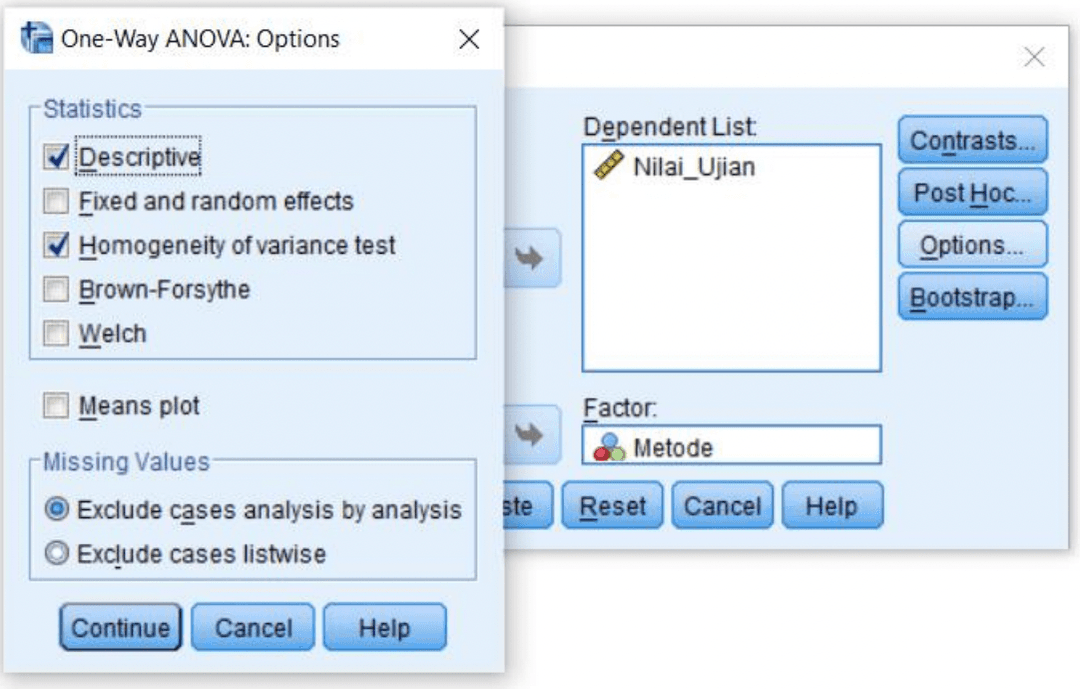 Mencentang Descriptive dan Homogeneity of Variance Test pada menu Options