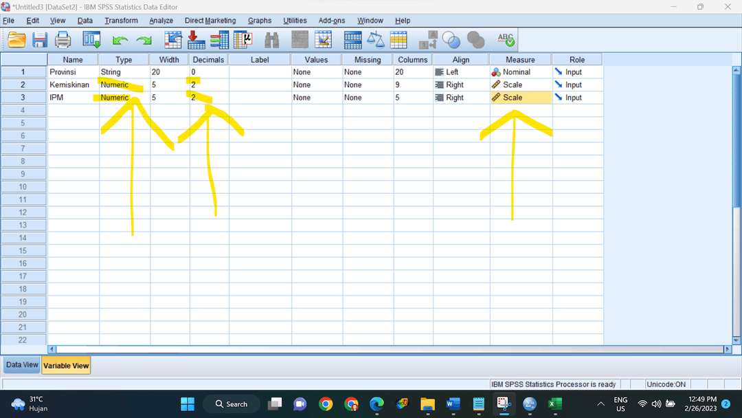 Tampilan menu Variable View di SPSS