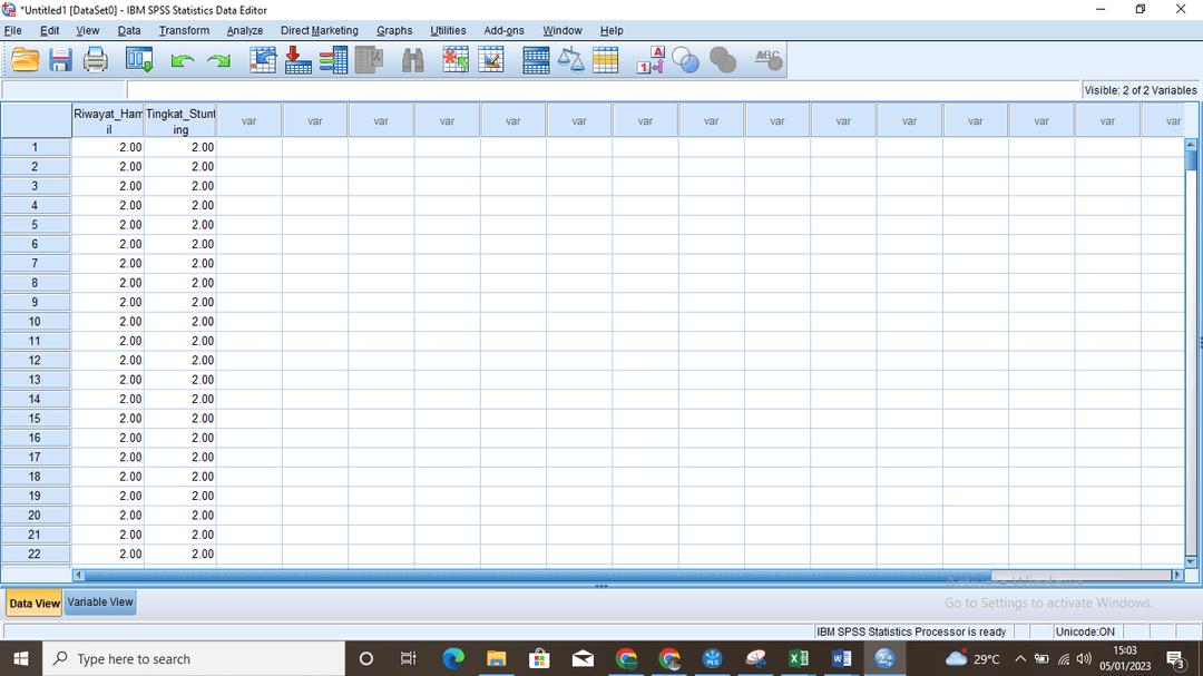 Contoh data mentah kategorikal sebelum recoding di SPSS